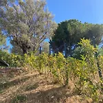 公寓 Clairiere Du Cap Brun