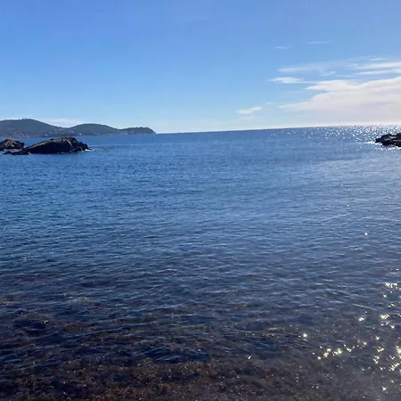 Clairiere Du Cap Brun