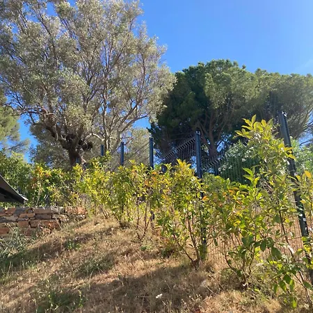 דירה Clairiere Du Cap Brun