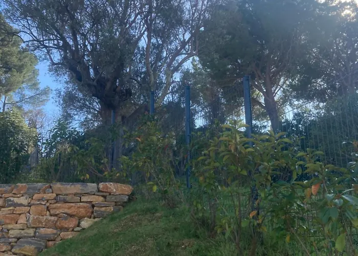 Apartman Clairiere Du Cap Brun