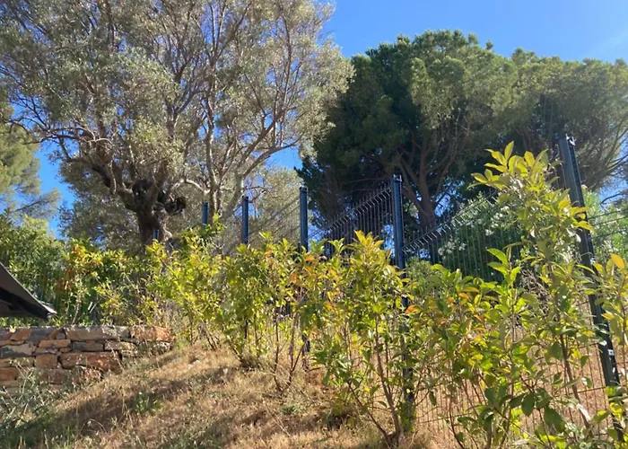 Apartman Clairiere Du Cap Brun